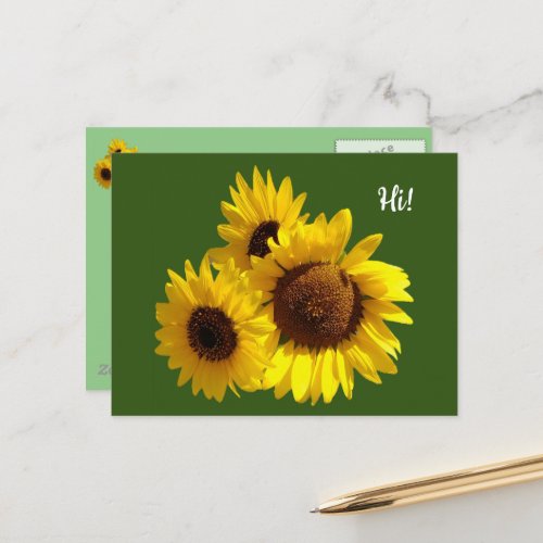 Trio of Cut Out Sunflowers Photo on Green Postcard