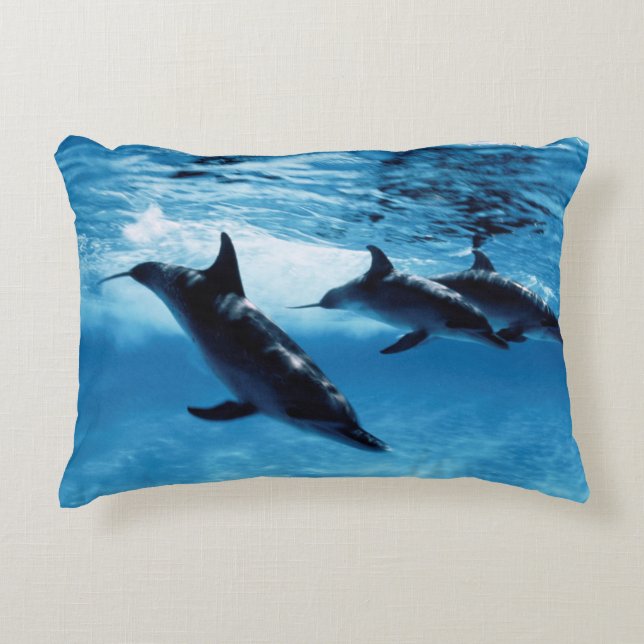 Trio of Dolphins Accent Pillow (Front)
