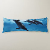 dolphin body pillow