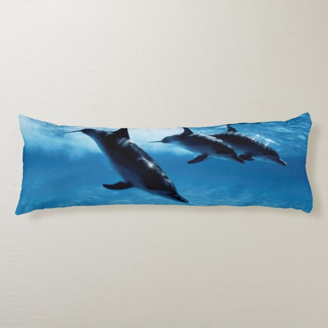 Trio of Dolphins Body Pillow (Front)