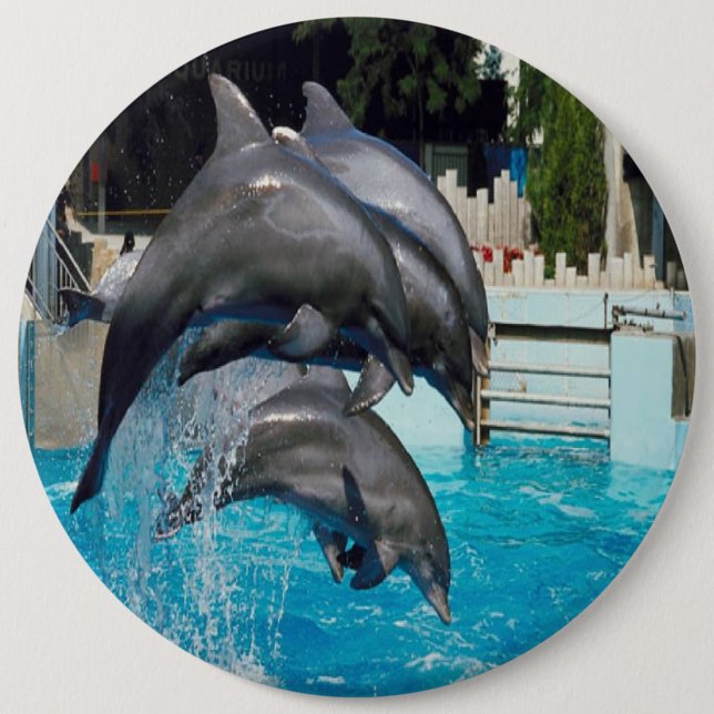 Trio-of-dolphins, button. button (Front)