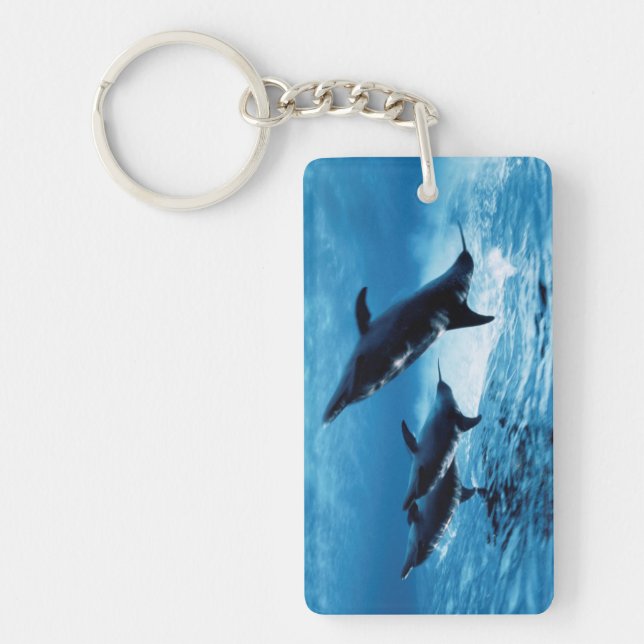 Trio of Dolphins Keychain (Front)