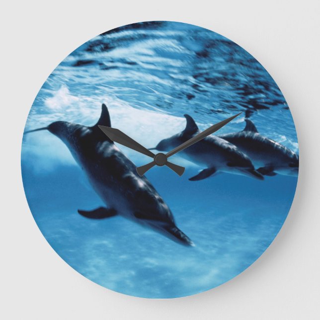 Trio of Dolphins Large Clock (Front)