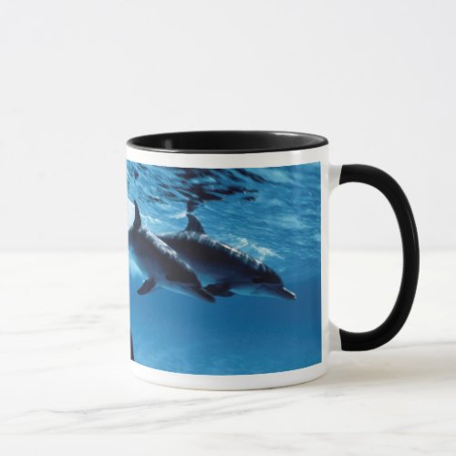 Trio of Dolphins Mug