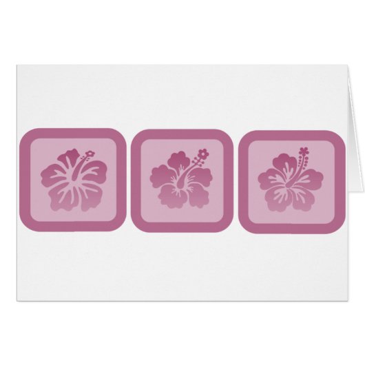 Trio of Hibiscus (Front Horizontal)