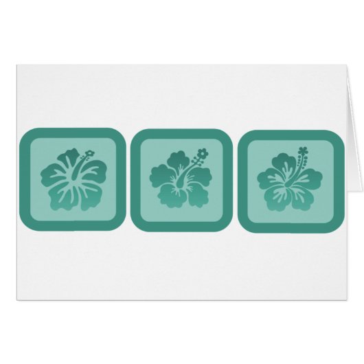 Trio of Hibiscus Flowers (Front Horizontal)