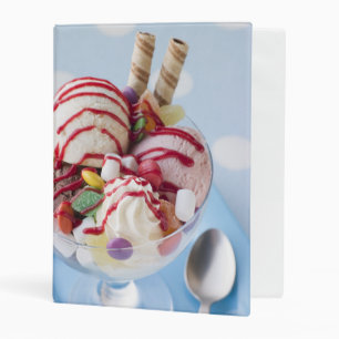 Trio of Ice Cream and Sweet Sundae Mini Binder