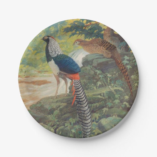 Trio of Lady Amherst's pheasant by waterfall Paper Plates (Front)