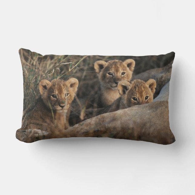 Trio of Lion Cubs with Mother Lumbar Pillow (Front)