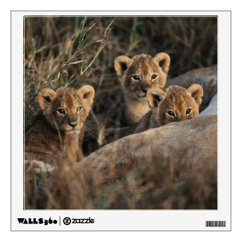 Trio of Lion Cubs with Mother Wall Decal