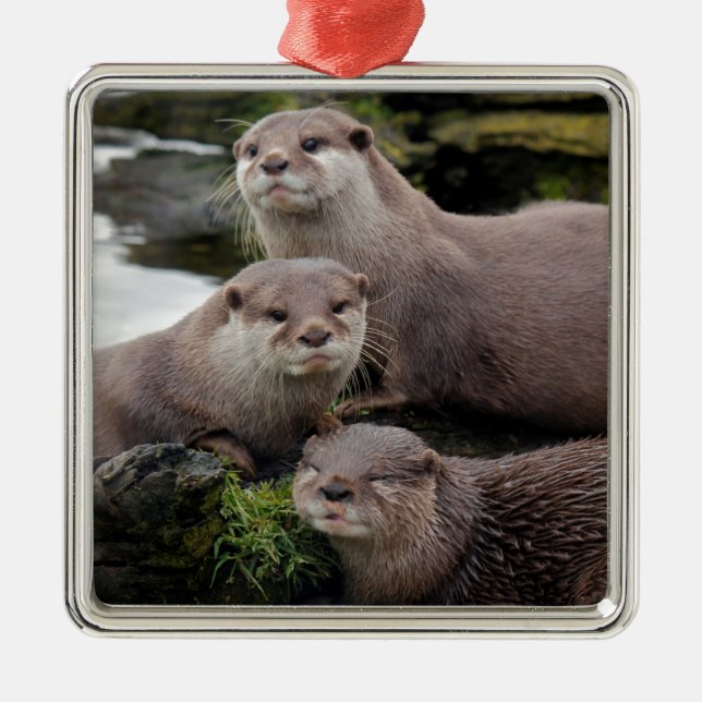Trio of Otters Metal Ornament (Front)