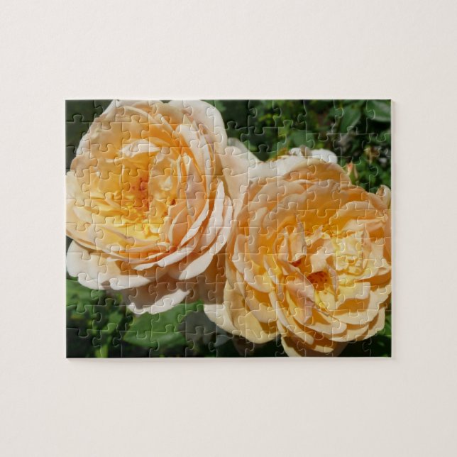 Trio of Peach Roses Floral Jigsaw Puzzle (Horizontal)