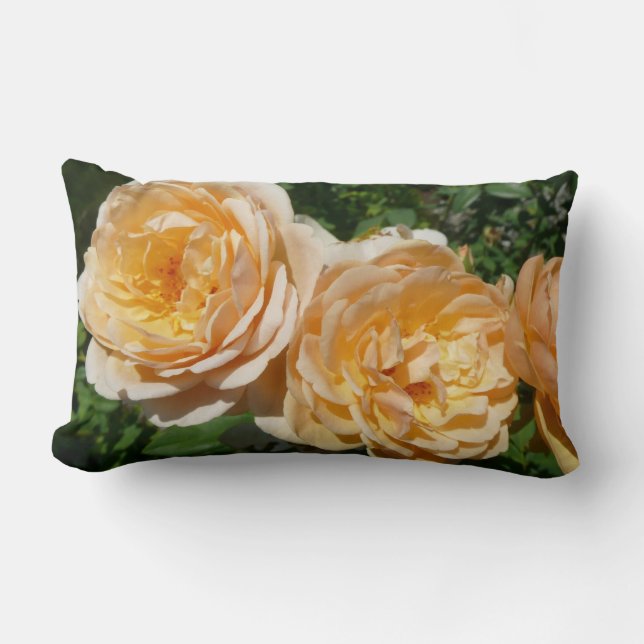 Trio of Peach Roses Floral Lumbar Pillow (Front)