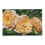 Trio of Peach Roses Floral Placemat
