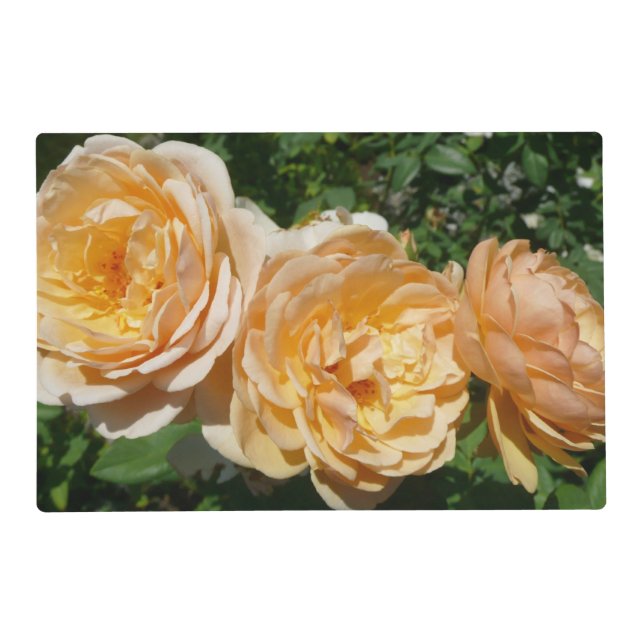Trio of Peach Roses Floral Placemat (Front)
