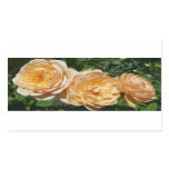 Trio of Peach Roses Floral Rectangular Sticker
