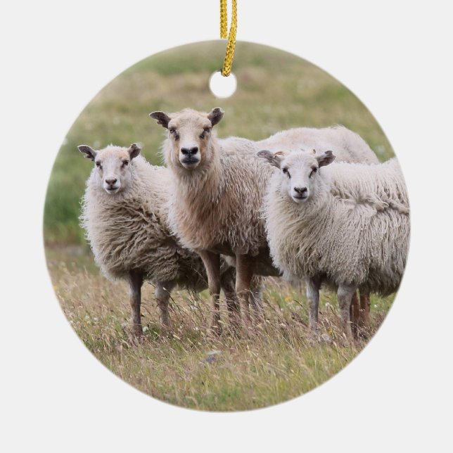 Trio of Sheep in Iceland Ceramic Ornament (Front)