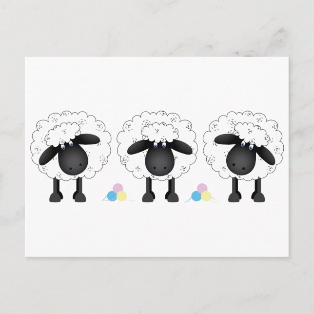 Trio Of Sheep Postcard (Front)