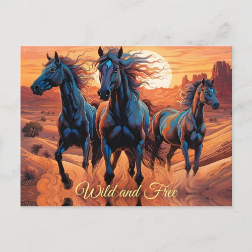 Trio of Wild Horses in the Desert Postcard