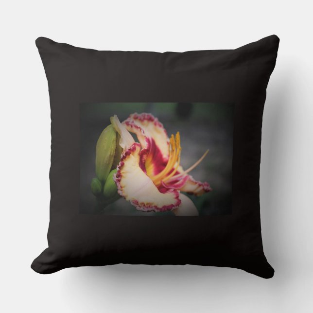 ‘Triple Cherries’ throw pillow (Front)