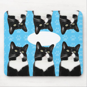Triple Cute Kitty Funny Cat Epic Statement  Mouse Pad