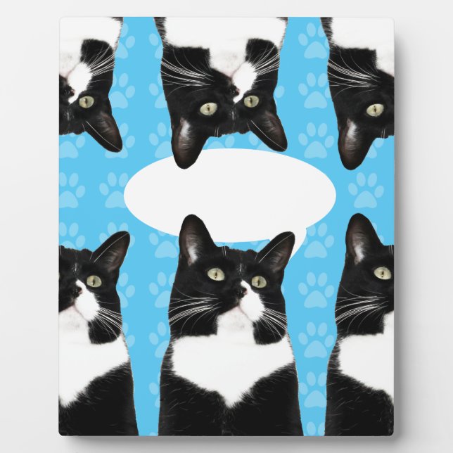 Triple Cute Kitty Make Statement Fun Photo Plaque (Front)