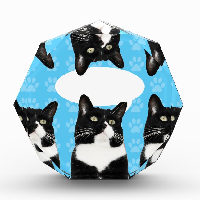 Triple Cute Kitty Winner Speech Statement Award (Front)