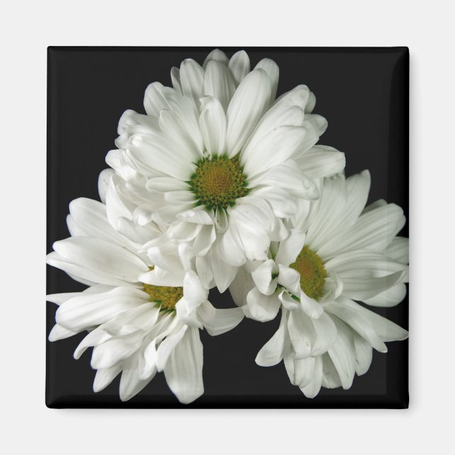 Triple Delight Magnet (Front)