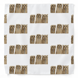 Triple Drooling Goofy Cats Meme Bandana