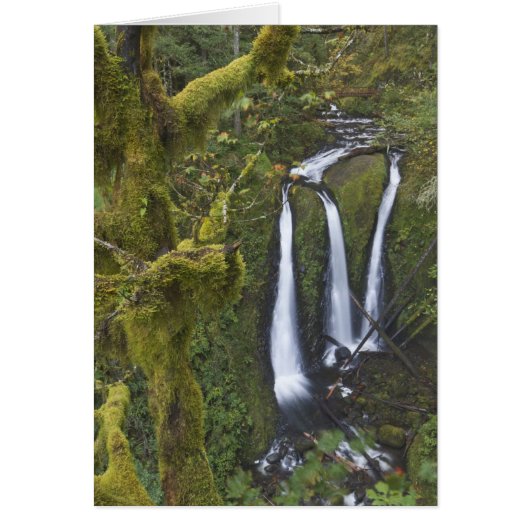 Triple Falls, Columbia River Gorge (Front)