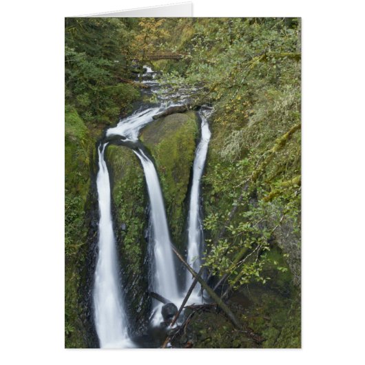 Triple Falls, Columbia River Gorge Cards (Front)