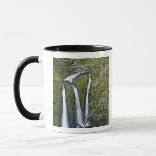 Triple Falls Columbia River Gorge Mug