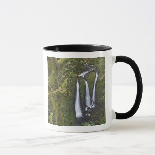 Triple Falls Columbia River Gorge Mug