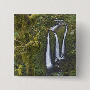Triple Falls, Columbia River Gorge Pinback Button