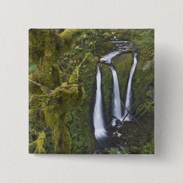 Triple Falls, Columbia River Gorge Pinback Button (Front)