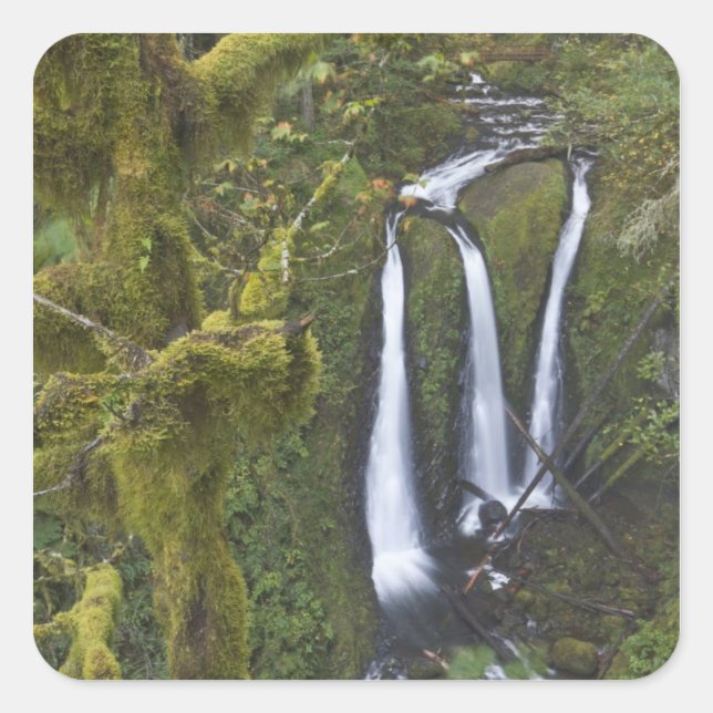 Triple Falls, Columbia River Gorge Square Sticker (Front)