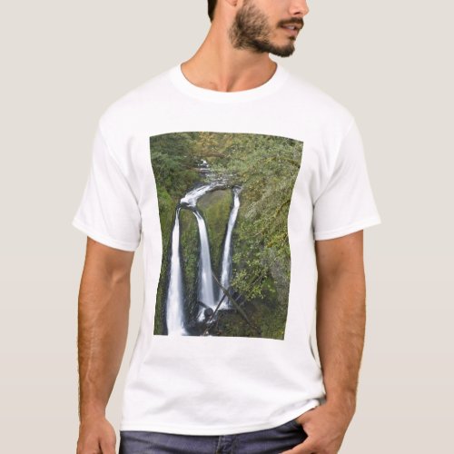 Triple Falls Columbia River Gorge T_Shirt