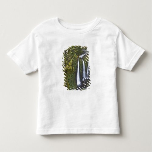Triple Falls Columbia River Gorge Toddler T_shirt