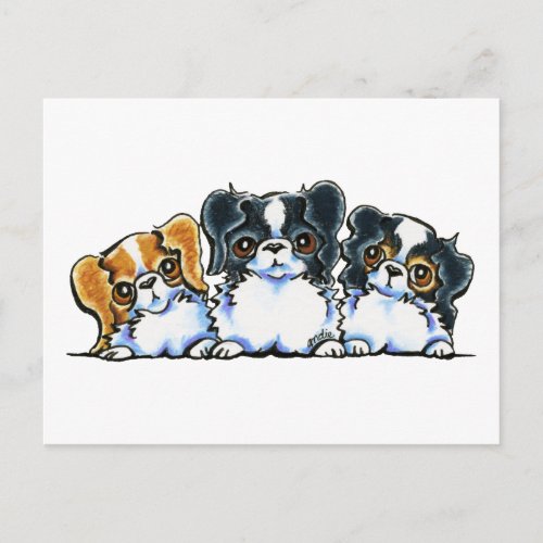 Triple Japanese Chin Postcard