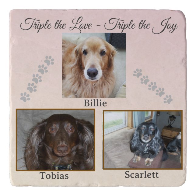 Triple Joy Pawprint Memories Trivet (Front)