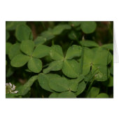 Triple Luck card (Front Horizontal)