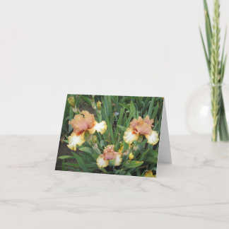 Triple Peach Small Note Card