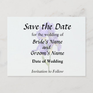 Triple Purple Iris Announcement Postcard