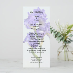 Triple Purple Iris Program