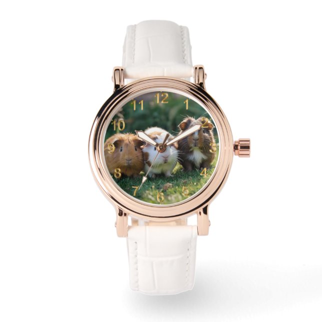 Triple Squeak: Three Baby Guinea Pigs, Watch (Front)