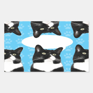 Triple Trouble Cat Custom Fun Art Design Rectangular Sticker