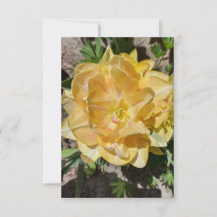 Triple yellow tulip flower blank card