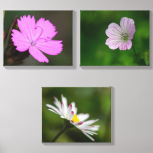 triplet of flowers canvas photo tile
