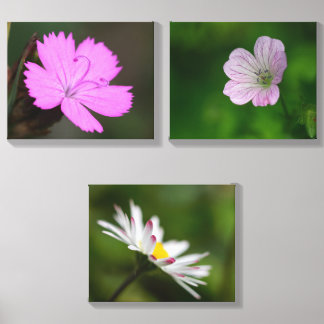 triplet of flowers canvas photo tile 