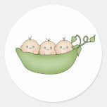 Triplet Peas In A Pod Classic Round Sticker at Zazzle